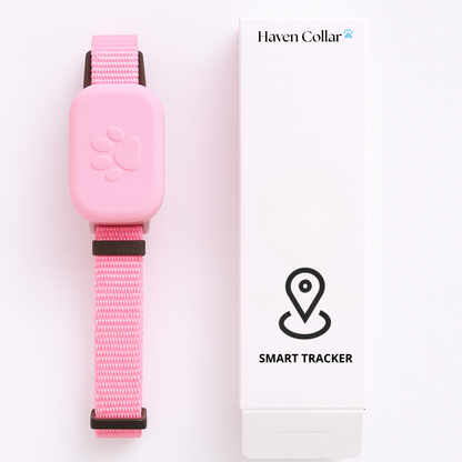 Smart Tracker for Cats