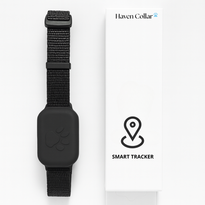 Smart Tracker for Cats